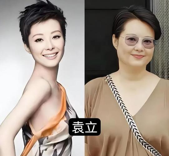 影视明星袁立_袁立滚出娱乐圈_袁立爆娱乐圈