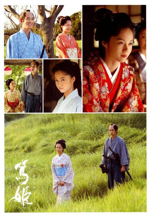 笃姬在线观看 重温高清经典大河剧